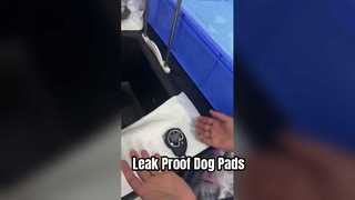 Funda de cama para perros desechable a prueba de fugas de secado rápido y almohadillas para mascotas para protección durante todo el día