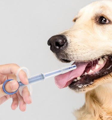 comprar Tubo de alimentación para mascotas perro gato pistola de pastillas jeringa de medicina kit de alimentación plástico duradero fabricación en línea