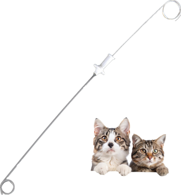 comprar Catéter stent urinario animal de sutura médica absorbible, con placa de sutura de alambre guía, adecuado para perros y gatos 3Fr 4Fr, renal, veterinario de riñón, material de PU fabricación en línea