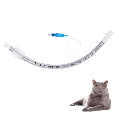 comprar Tubo endotraqueal reforzado veterinario de calidad médica de PVC con catéter de anestesia transparente en forma de globo de oliva para hospitales de animales fabricación en línea