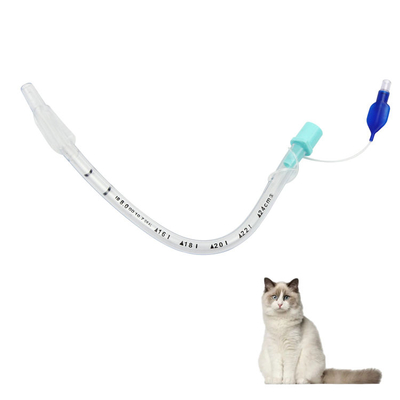 comprar Manejo de las vías respiratorias veterinarias – Tubos endotraqueales reforzados con y sin balón para el cuidado de animales en emergencias fabricación en línea