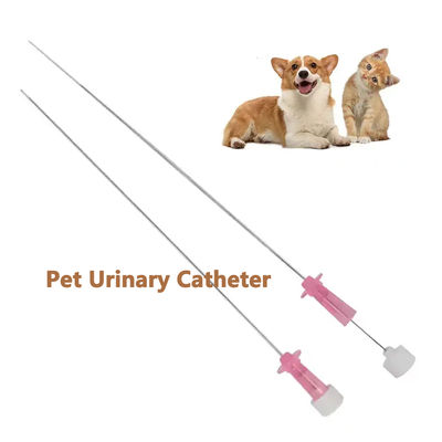 Buen precio El catéter urinario para gatos con estilete es la solución ideal para el cuidado urinario de los felinos. en línea