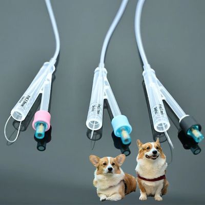 Buen precio Catéteres urinarios para perros veterinarios Material de PVC / silicona de alta calidad, soluciones duraderas para el cuidado de mascotas en línea