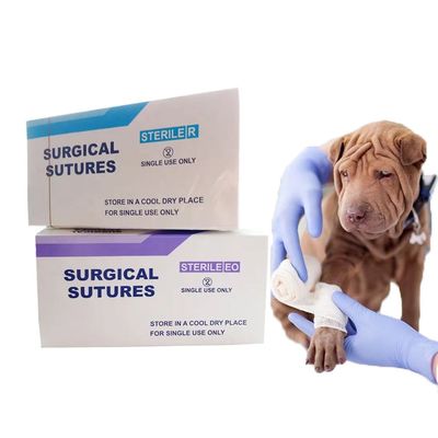 Buen precio Sutiones quirúrgicas estériles de nylon Sutiones de monofilamento de nylon con aguja Catgut crómico de seda de nylon en línea