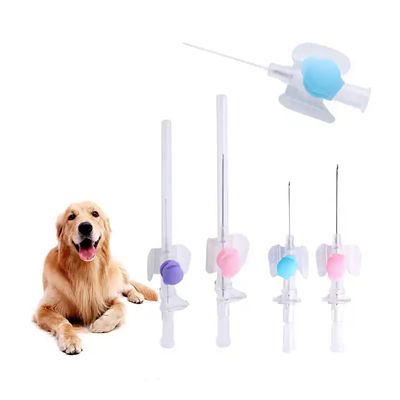 Buen precio Certificado ISO Cánula IV Desechable Aguja de Inyección Intravenosa Catéter Veterinario Tipo Mariposa Cánula IV en línea