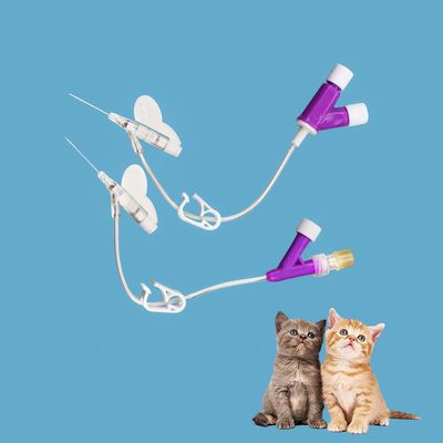 Buen precio Cánula IV de acero inoxidable de PVC para gatos y perros tipo Y mejor fijación Multi Tamaño 14g 16g 18g 20g 22g 24g 26g en línea