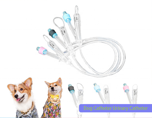 Buen precio Catéter de Foley de silicona pura de 2 vías con revestimiento de silicona hidrofílica de grado veterinario para animales, superlubricidad, cirugía urinaria para perros en línea