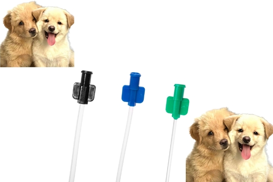 Buen precio Catéter urinario para perros de PVC, tubo de retención y lavado para el cuidado urinario de mascotas en línea