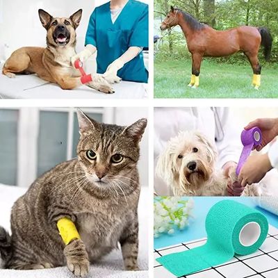Buen precio Vendaje elástico veterinario de grado médico, no estéril, dispositivo de clase I, venda flexible autoadherente para el cuidado de heridas y soporte articular de perros y gatos en línea