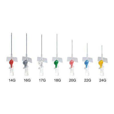 Buen precio Disposable Butterfly IV Cannula with Winged Design for Easy Insertion and Secure Placement en línea