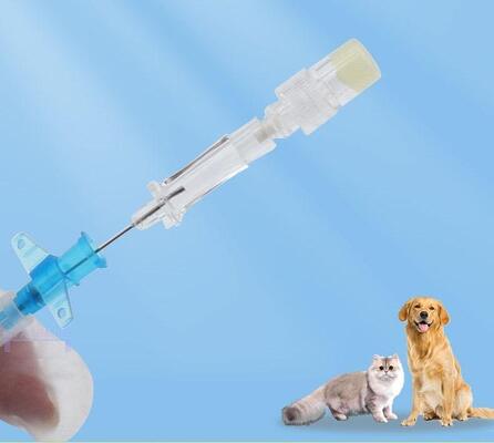 Buen precio Catéter intravenoso alado pequeño con bloqueo de heparina | Flexible, seguro y diseñado para uso intravenoso en animales pequeños en línea