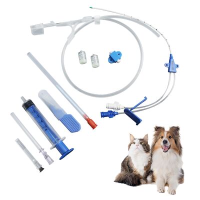 Buen precio Kit de catéter venoso central veterinario de clase II con una vida útil de 1 año y materiales biocompatibles en línea
