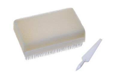 Buen precio Cepillo de fregar manos para uso médico – Diseño ergonómico, cerdas antibacterianas de larga duración para entornos sanitarios en línea