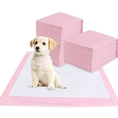 Buen precio Super Absorbente de Secado Rápido a Prueba de Fugas Almohadilla Desechable para Mascotas para Entrenamiento de Cachorros y Uso en Interiores en línea