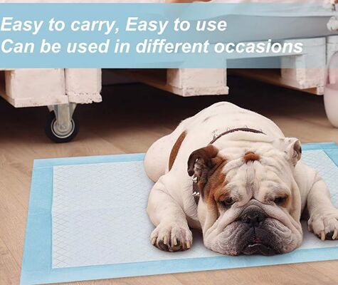 Buen precio Pads desechables para mascotas para perros y gatos de 60 × 90 cm de gran absorción y secado rápido a prueba de fugas en línea